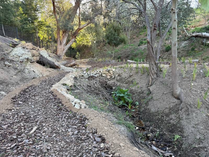 Walkway beside the stream