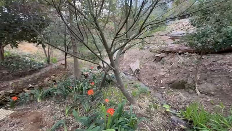 Video: Walk along the stream path and landscaping (2:01)